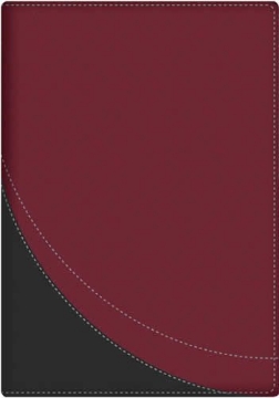 Mostrar detalles de Biblia en orden cronologico RVR1960 (duotono) Imagen de Biblia en orden cronologico RVR1960 (duotono)