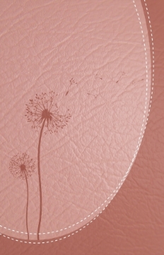 Mostrar detalles de Santa Biblia de Promesas RVR-1960 «Inspira», Letra Gigante, Piel especial, Rosa dorado Imagen de Santa Biblia de Promesas RVR-1960 «Inspira», Letra Gigante, Piel especial, Rosa dorado