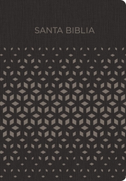 Mostrar detalles de Biblia RVR1960 Regalos y premios negro y plata imitacion piel Imagen de Biblia RVR1960 Regalos y premios negro y plata imitacion piel