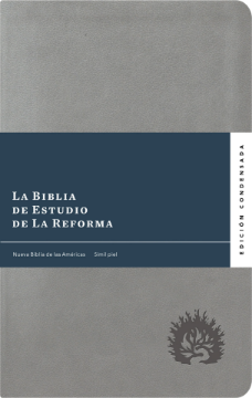 Mostrar detalles de La Biblia de Estudio de La Reforma, Edición Condensada Simil piel gris Imagen de La Biblia de Estudio de La Reforma, Edición Condensada Simil piel gris