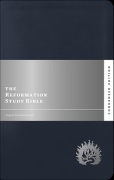 Mostrar detalles de La Biblia de Estudio de La Reforma, Edición Condensada Simil piel azul marino Imagen de La Biblia de Estudio de La Reforma, Edición Condensada Simil piel azul marino