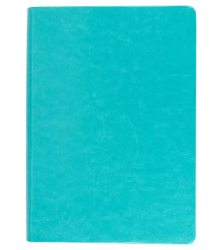 Mostrar detalles de Biblia NVI, Letra Gigante, Piel Especial, Aguamarina Imagen de Biblia NVI, Letra Gigante, Piel Especial, Aguamarina