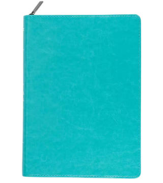 Mostrar detalles de Biblia NVI, Letra Gigante con Cierre, Aguamarina Imagen de Biblia NVI, Letra Gigante con Cierre, Aguamarina