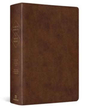 Mostrar detalles de Biblia bilingüe RVR60 Imagen de Biblia bilingüe RVR60