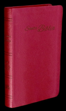 Mostrar detalles de Biblia RVA-2015 Rojiza piel europea Imagen de Biblia RVA-2015 Rojiza piel europea