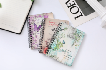 Mostrar detalles de Pack 3 libretas Mujer Virtuosa Imagen de Pack 3 libretas Mujer Virtuosa