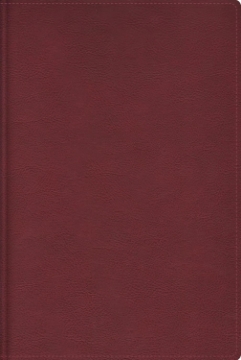 Mostrar detalles de RVR, Biblia de estudio trasfondo cultural (El contexto lo cambia todo), Leathersoft, Rojo vino, Interior a color, Comfort Print Imagen de RVR, Biblia de estudio trasfondo cultural (El contexto lo cambia todo), Leathersoft, Rojo vino, Interior a color, Comfort Print