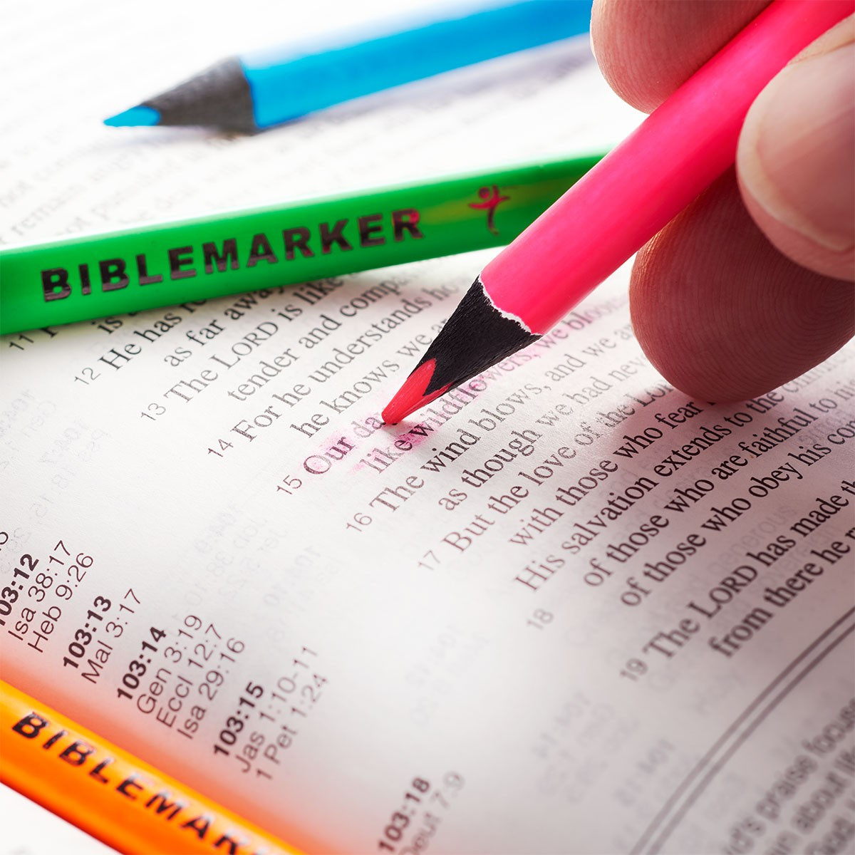 Recursos Biblicos6 Piece Assorted Color Dry Pencil Bible Marker Set