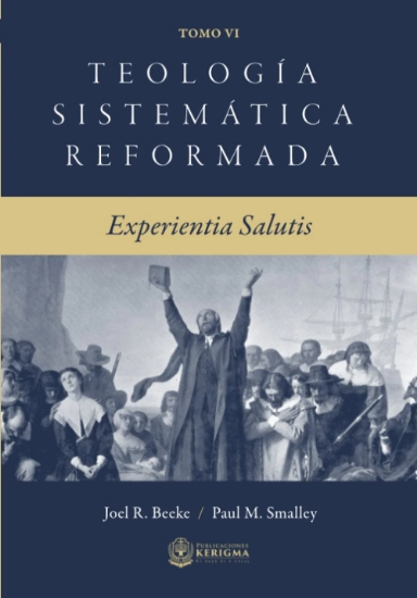 Imagen de Teologia Sistematica Reformada Vol. VI