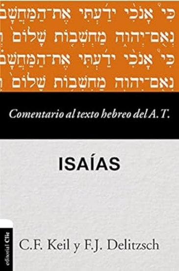 Imagen de Comentario al texto hebreo del Antiguo Testamento: Isaias