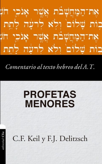 Imagen de Comentario al texto hebreo del Antiguo Testamento: Profetas Menores