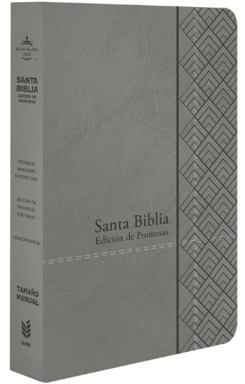 Imagen de Biblia de Promesas Reina-Valera 1960 / Tamaño Manual / Letra Grande / Piel Especial / Gris