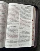 Imagen de RVR1960 065LG czti Tricolor Fantasía rosa/fantasía/café