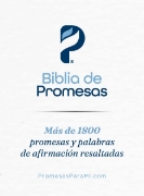 Imagen de Biblia de Promesas Reina-Valera 1960 / Tamaño Manual / Letra Grande / Piel Especial con Cierre / Fucsia