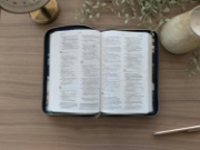 Imagen de Biblia ultrafina NTV de ziper, con Filament (SentiPiel, Floral, Letra Roja)