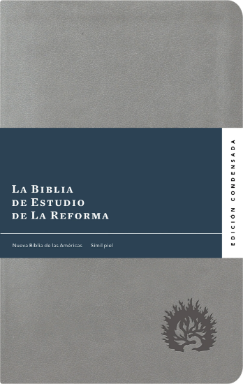 Imagen de La Biblia de Estudio de La Reforma, Edición Condensada Simil piel gris