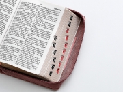 Imagen de Biblia RVR1960 Portatil Letra Grande - Coral/Rosa 