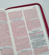 Imagen de Biblia NVI, Ultrafina, Piel Especial con Cierre, Fucsia