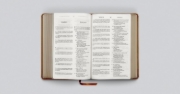 Imagen de Biblia bilingüe RVR1960/ESV