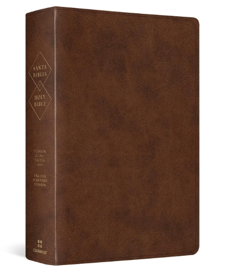 Imagen de Biblia bilingüe RVR1960/ESV