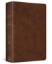 Imagen de Biblia bilingüe RVR60