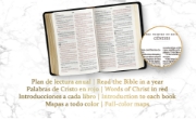 Imagen de RVR 1960 Biblia letra grande tamaño manual edición especial, verde, símil piel