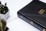 Imagen de RVR 1960 Biblia letra supergigante edición 2023, negro piel fabricada con índice