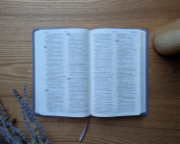 Imagen de Biblia valor prémium NTV con Filament (SentiPiel, Púrpura)
