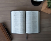 Imagen de Biblia valor prémium NTV con Filament (SentiPiel, Gris)
