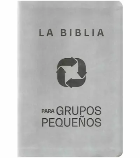 Imagen de Biblia para grupos pequeños - NBV lujo