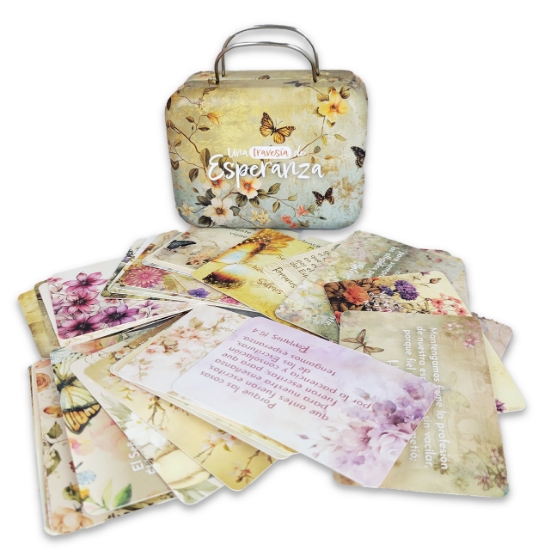 Imagen de Una travesía de Esperanza - Caja de promesas metálica maleta