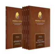 Imagen de Piedras Vivas