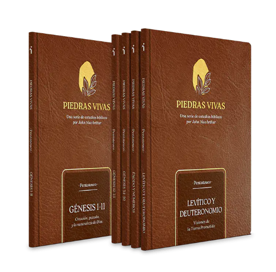 Imagen de Piedras Vivas