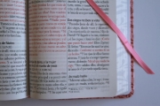 Imagen de Biblia RVR1960 Letra gigante, símil piel rosada con flores (Edición cantos pintados)
