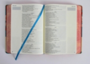 Imagen de Biblia de Apuntes RVR60 Tapa dura, Azul celeste con flores, cantos pintados