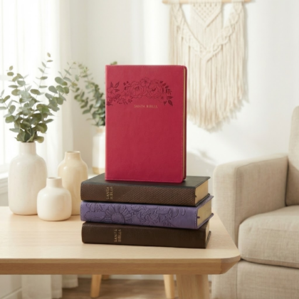 Imagen para la categoría Biblias