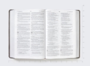 Imagen de ESV/NBLA, Bilingual Bible, Leathersoft, Grey/ ESV/NBLA, Biblia Bilingüe, Leathersoft, Gris