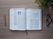 Imagen de Biblia de estudio del diario vivir NTV (SentiPiel, Café, Letra Roja)