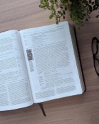 Imagen de Biblia de estudio del diario vivir NTV (SentiPiel, Café, Letra Roja)