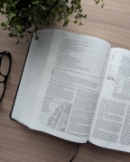 Imagen de Biblia de estudio del diario vivir NTV (SentiPiel, Negro, Letra Roja)