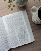 Imagen de Biblia de estudio del diario vivir NTV (Tapa dura, Letra Grande, Letra Roja)