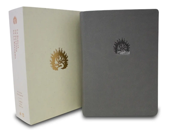 Imagen de Biblia de Estudio de la Reforma (símil piel gris)