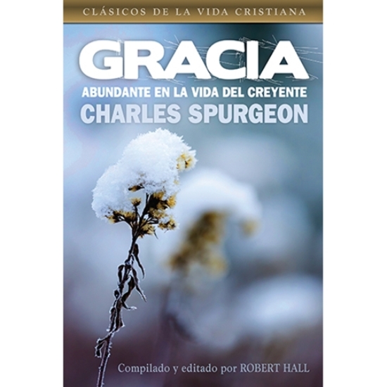 Imagen de Gracia abundante en la vida del creyente