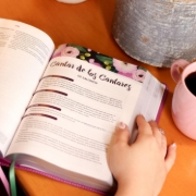 Imagen de RVR60, Biblia de estudio para la mujer, Leathersoft, Orquídea, Interior a color, Comfort Print: Verdad, esperanza y transformación para el corazón