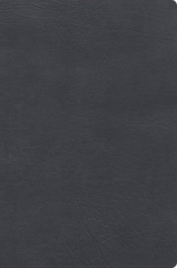 Imagen de RVR 1960 Biblia de estudio letra gigante, gris, simil pie