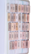 Imagen de Spanish   Bible   Tabs   -   Paz   Theme