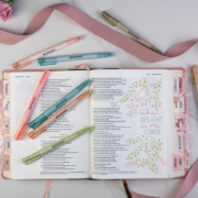 Imagen de Bible   Highlighters   with   Dual   Tip   -   Earthy