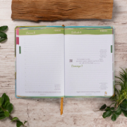 Imagen de Agenda Todo ganado, flexibound