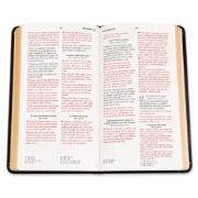 Imagen de Biblia RVR1960 Obsequios y Premio Letra Grande Manual Moka Aguila