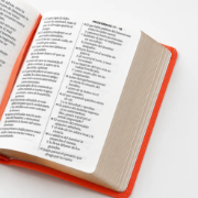 Imagen de Biblia RVR60 Tamaño Compacto Letra Grande Neoclassic / Coral